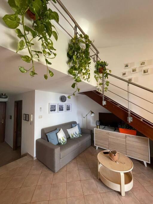 Apartmán Magabu' - Swimming Pool And Free Parking Cefalù Exteriér fotografie